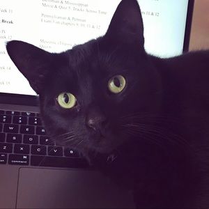 Meet your Posher, Kristy